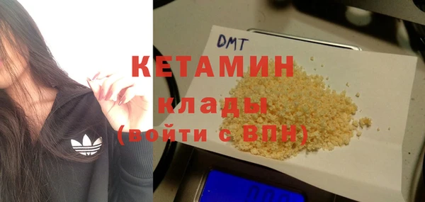 сатива Лабытнанги