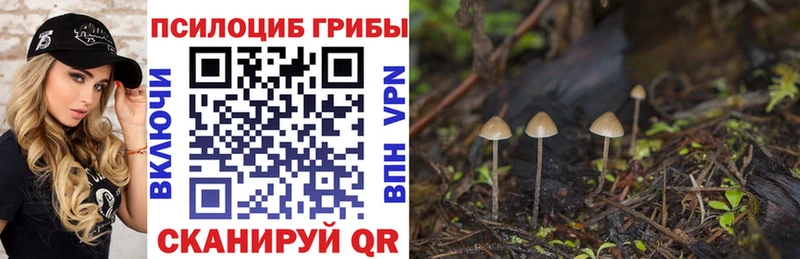 Галлюциногенные грибы прущие грибы Любим