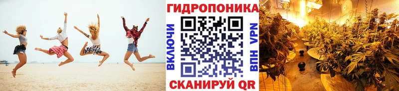 Бошки марихуана Bruce Banner  shop Telegram  Любим  даркнет сайт 